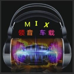 领音车载《佛系灵魂摆渡》DJ阿顺Mix