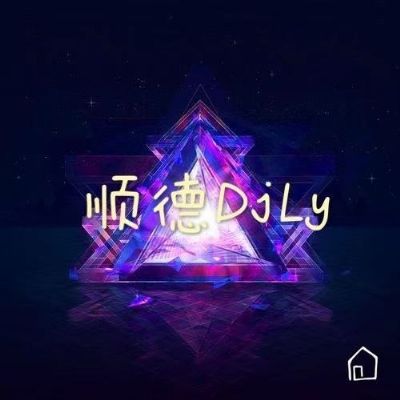 顺德DjLy-全中文Electro音乐慢摇串烧